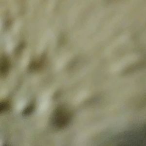 Meet your Posher, Trey